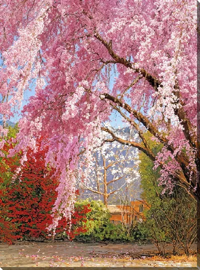 Картина маслом Цветущая сакура №35