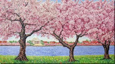 Картина маслом Цветущая сакура №45