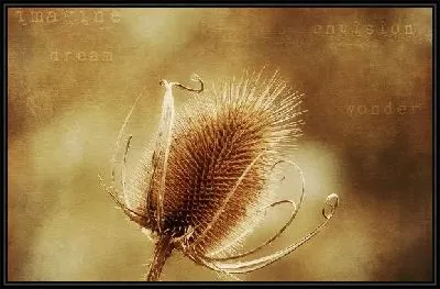Картина Цветок (Flower) №11
