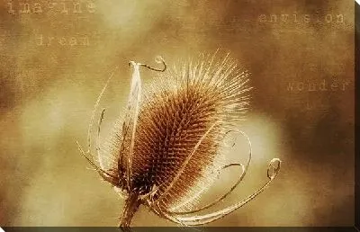 Постер Цветок (Flower) №11