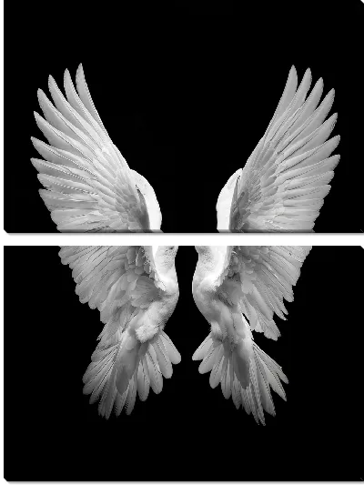 Модульная картина Два голубя с крыльями