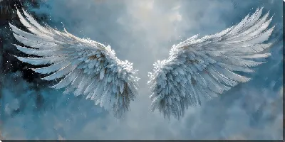 Постер Два крыла на небесном фоне