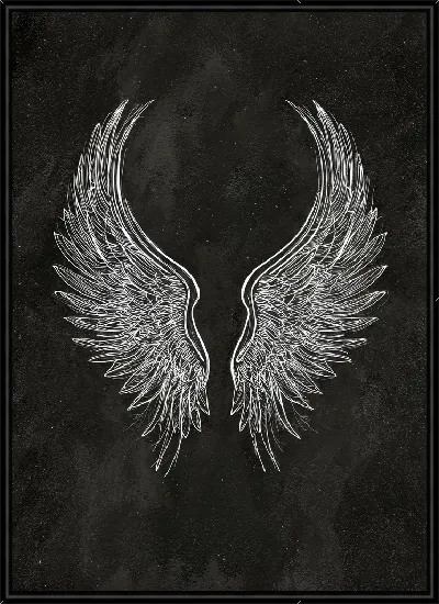 Картина Крылья на черном фоне