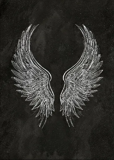 Плакат Крылья на черном фоне