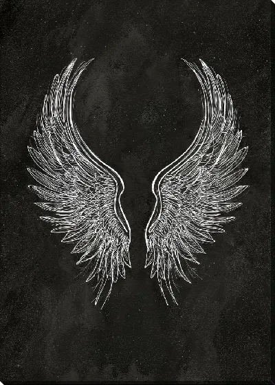 Постер Крылья на черном фоне