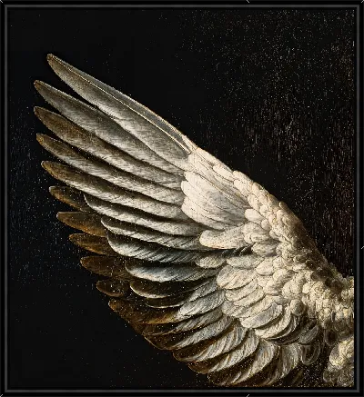Картина Крыло ренессанс