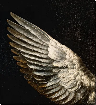 Постер Крыло ренессанс