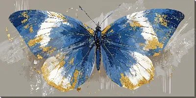 Постер Крылья бабочки №5