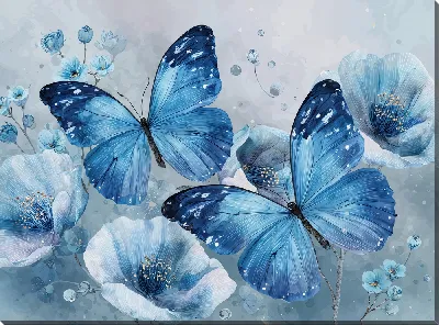 Крылья бабочек №29