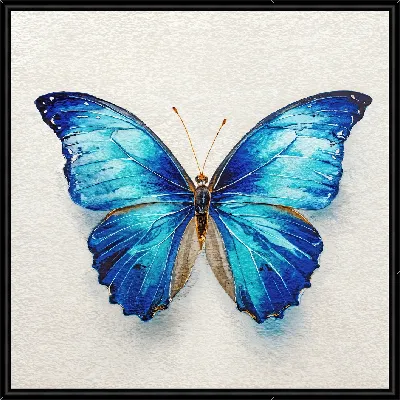 Крылья бабочки №30