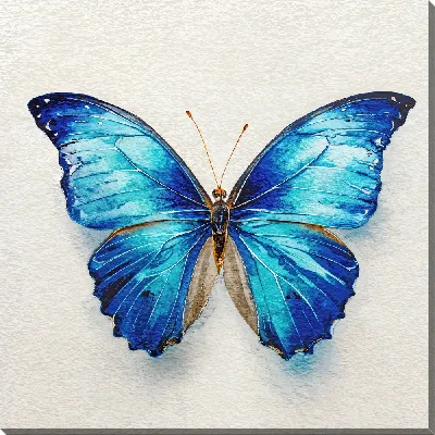 Крылья бабочки №30