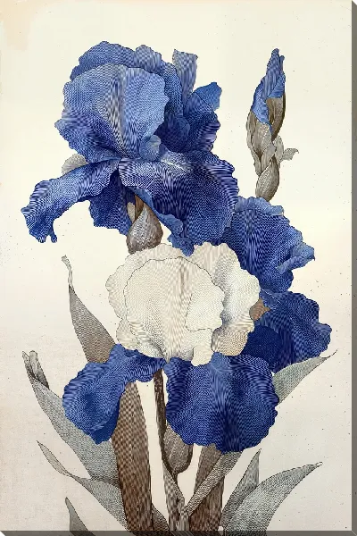 Картина маслом Изображение ирисов на фоне светлого цвета и простого фона