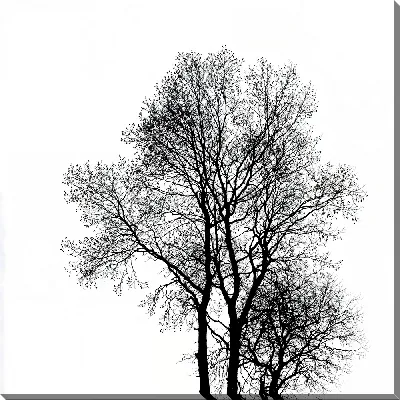 Картина маслом Деревья на белом фоне в зимний день без листвы