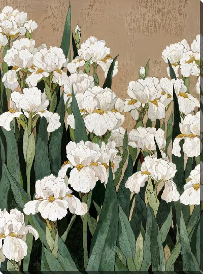 Картина маслом Цветы в поле, белые ирисы растут среди зелёных листьев на фоне