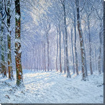Картина маслом Зимний лес с деревьями и снежным покровом в ясный день