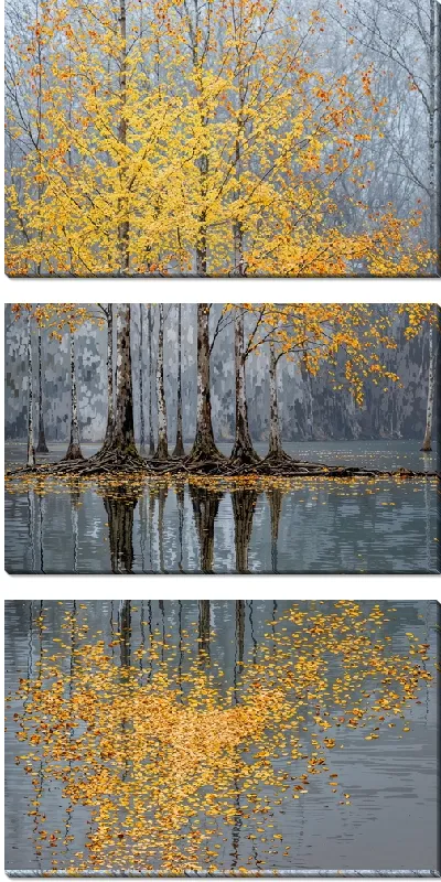 Модульная картина Осенние деревья с желтыми листьями возле воды в туманном лесу