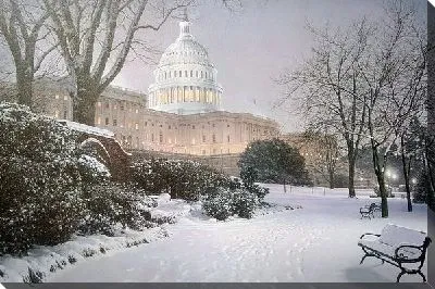 Картина США (USA)