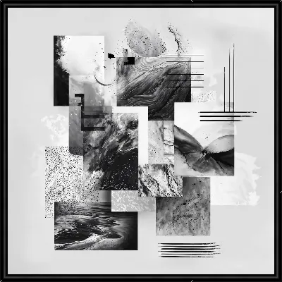 Картина Черно-белая абстракция №16
