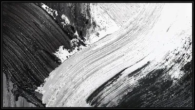 Картина Черно-белая абстракция №273