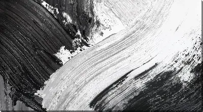 Картина маслом Черно-белая абстракция №273