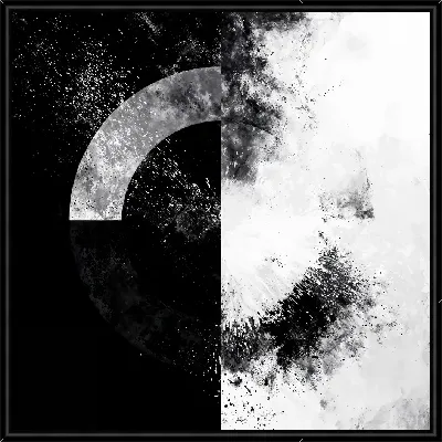 Картина Черно-белая абстракция №291