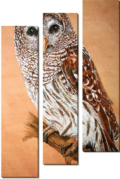 Модульная картина Сова (Owl) №7