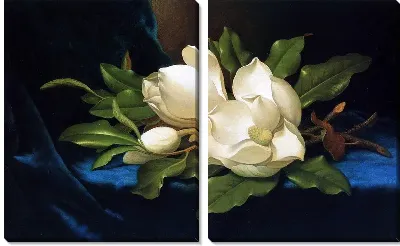 Картина Магнолии на синем бархате (Giant Magnolias on a Blue Velvet Cloth)