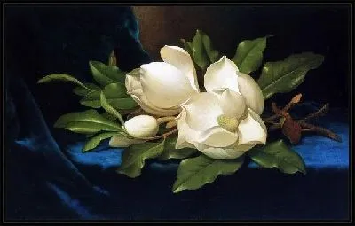 Магнолии на синем бархате (Giant Magnolias on a Blue Velvet Cloth)