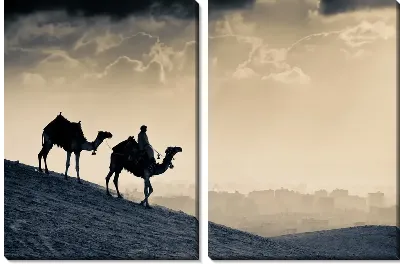 Модульная картина Африка (Africa) №4