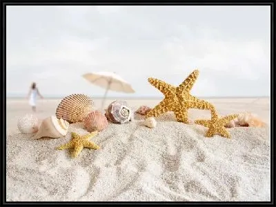 Ракушки (Shells) №2