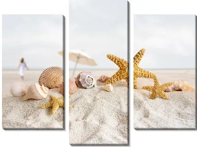 Ракушки (Shells) №2