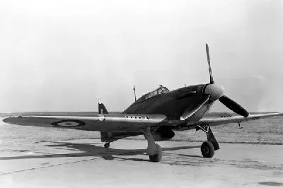 шаблон id 38