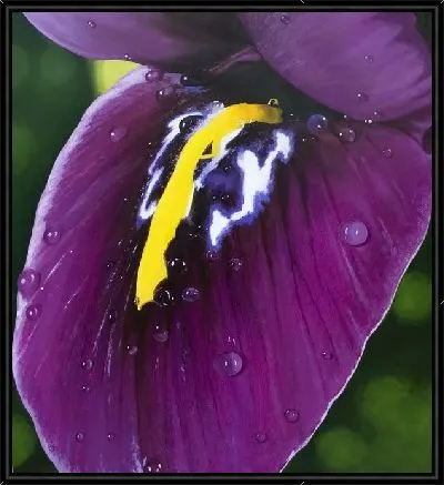 Картина Цветок №2