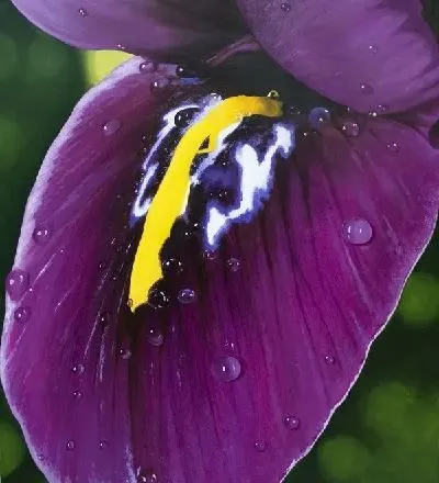 Плакат Цветок №2