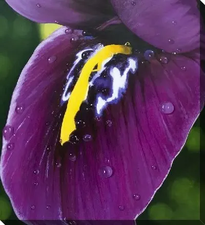 Постер Цветок №2