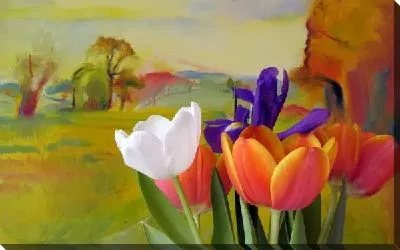 Постер Цветы (Flowers) №29