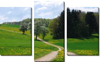 Модульная картина Дорога (Road) №18