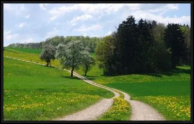 Картина Дорога (Road) №18