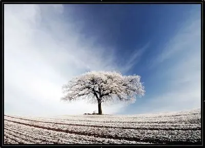 Картина Дерево (Tree) №15