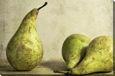 Груши (Pears)