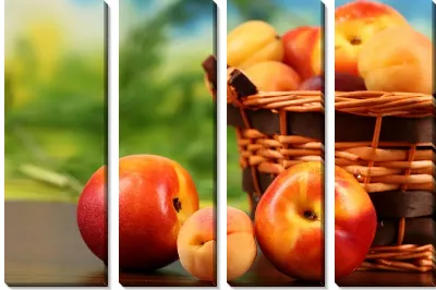 Модульная картина Яблоки (Apples) №4