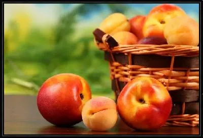 Картина Яблоки (Apples) №4