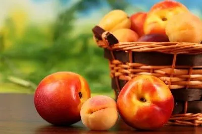 Плакат Яблоки (Apples) №4