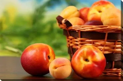 Постер Яблоки (Apples) №4