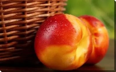 Постер Яблоки (Apples) №5