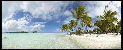 Картина Пляж (Beach) №8