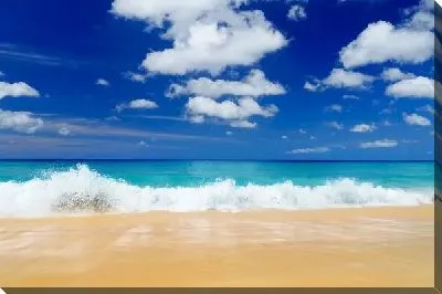 Постер Пляж (Beach) №11