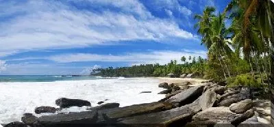 Постер Пляж (Beach) №12