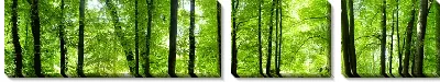 Модульная картина Лес (Forest) №45