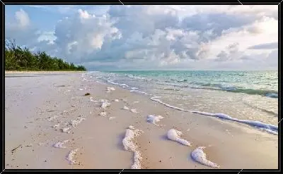 Картина Пляж (Beach) №18